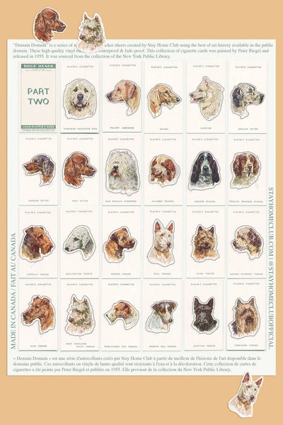 Dogs Heads/ Part 2 Mega Sticker Sheet