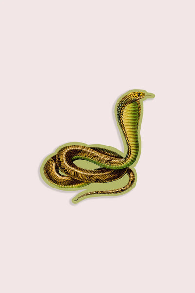 Conceited Cobra Gap Filler Sticker