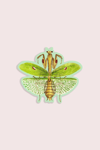 Meditative Mantis Gap Filler Sticker