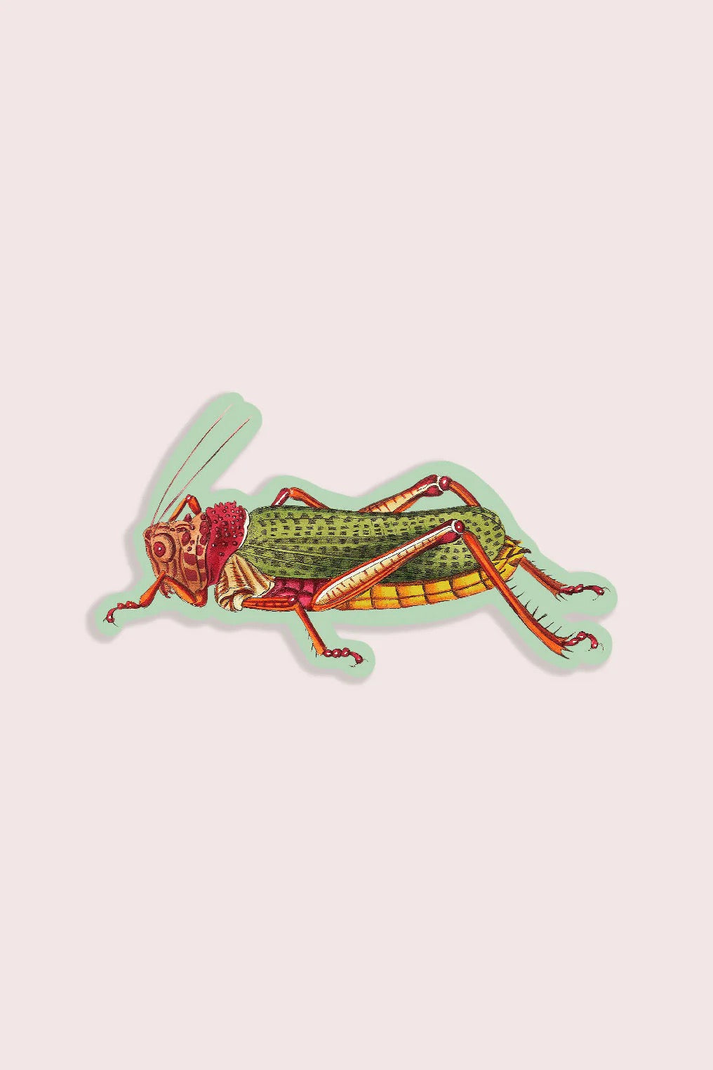 Lairy Locust Gap Filler Sticker