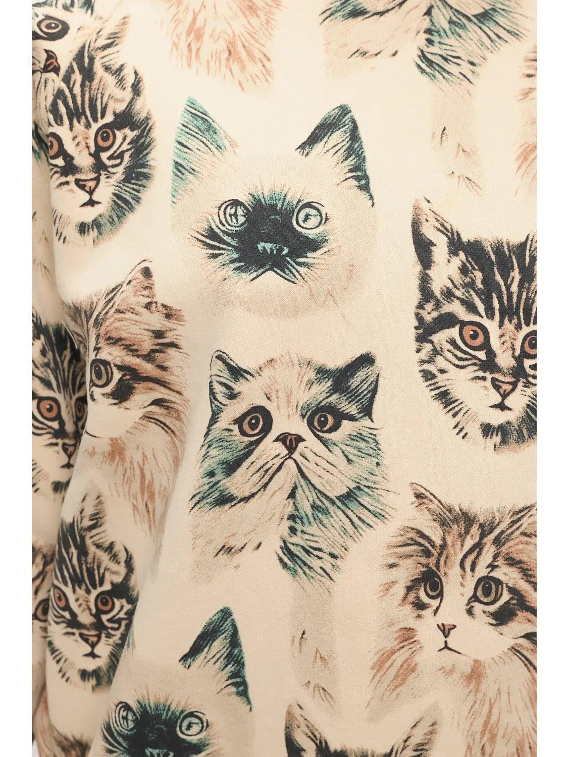 Persian Cats Sweatshirt