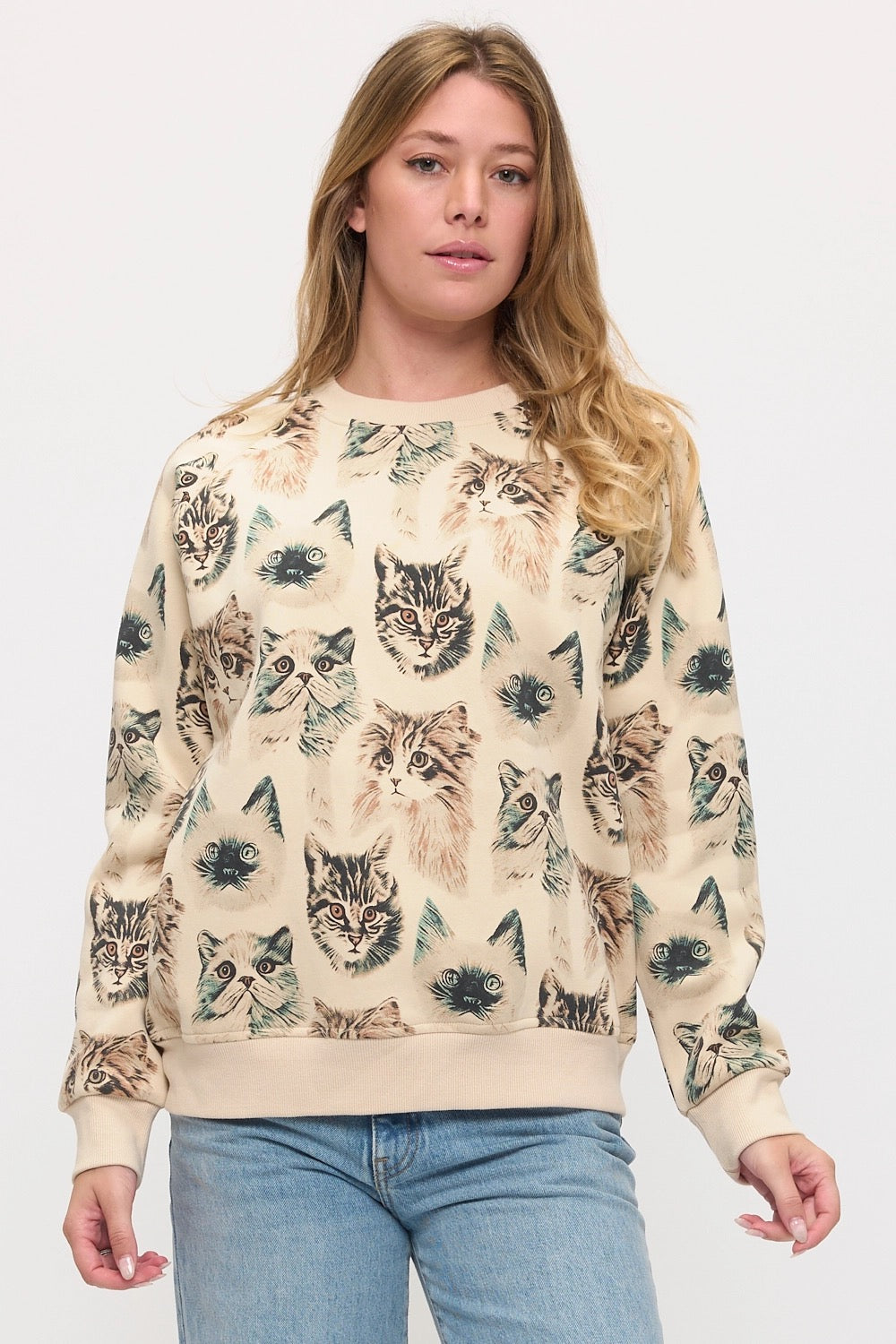 Persian Cats Sweatshirt