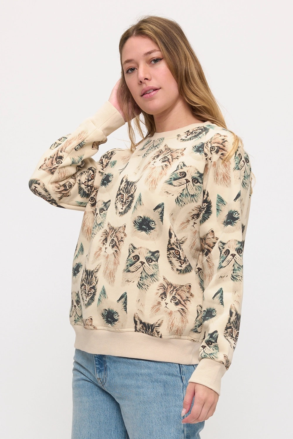 Persian Cats Sweatshirt