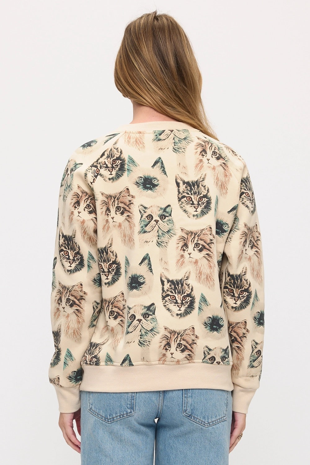 Persian Cats Sweatshirt