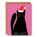 Hail Santa Greeting Card