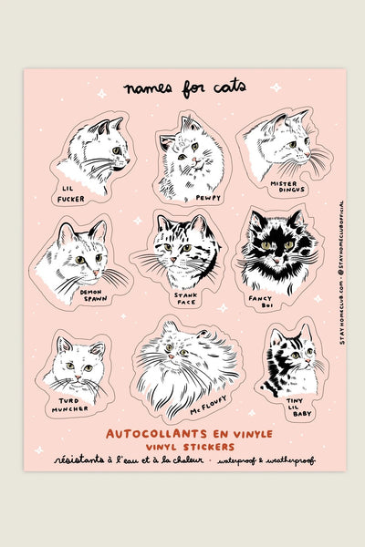 Names For Cats Mega Sticker Sheet
