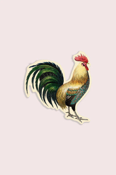 Rude Rooster Gap Filler Sticker