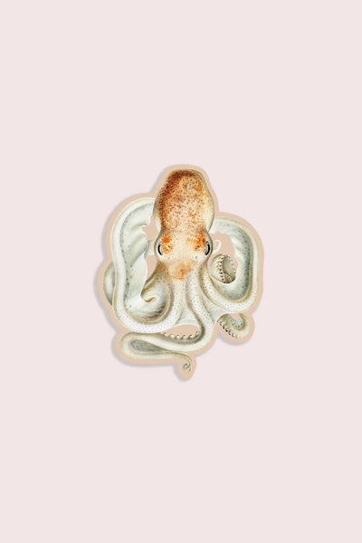 Intense Octopus Gap Filler Sticker