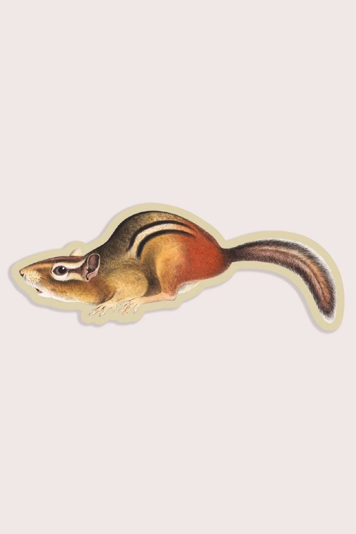 Suspicious Chipmunk Gap Filler Sticker