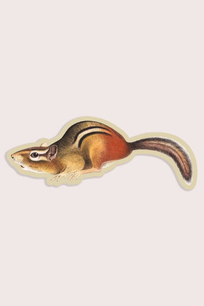 Suspicious Chipmunk Gap Filler Sticker