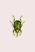 Blissful Beetle Gap Filler Sticker
