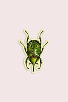Blissful Beetle Gap Filler Sticker