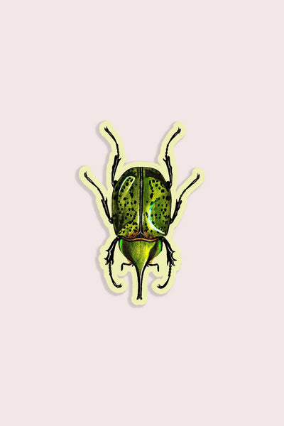 Blissful Beetle Gap Filler Sticker