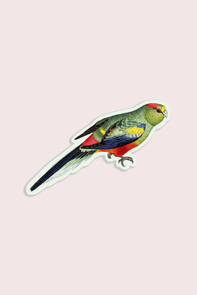 Petulant Parakeet Gap Filler Sticker