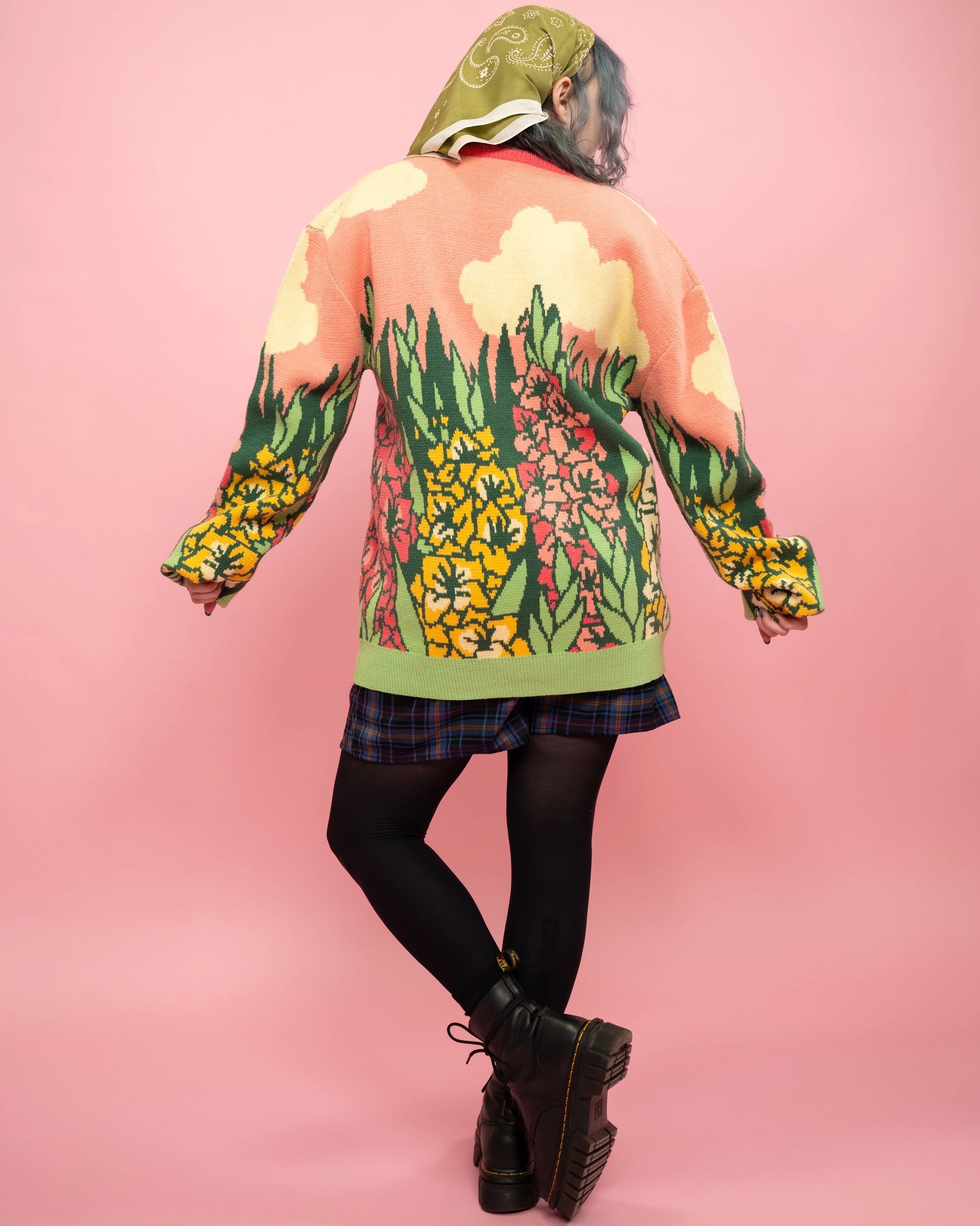 Gladiolus Cardigan