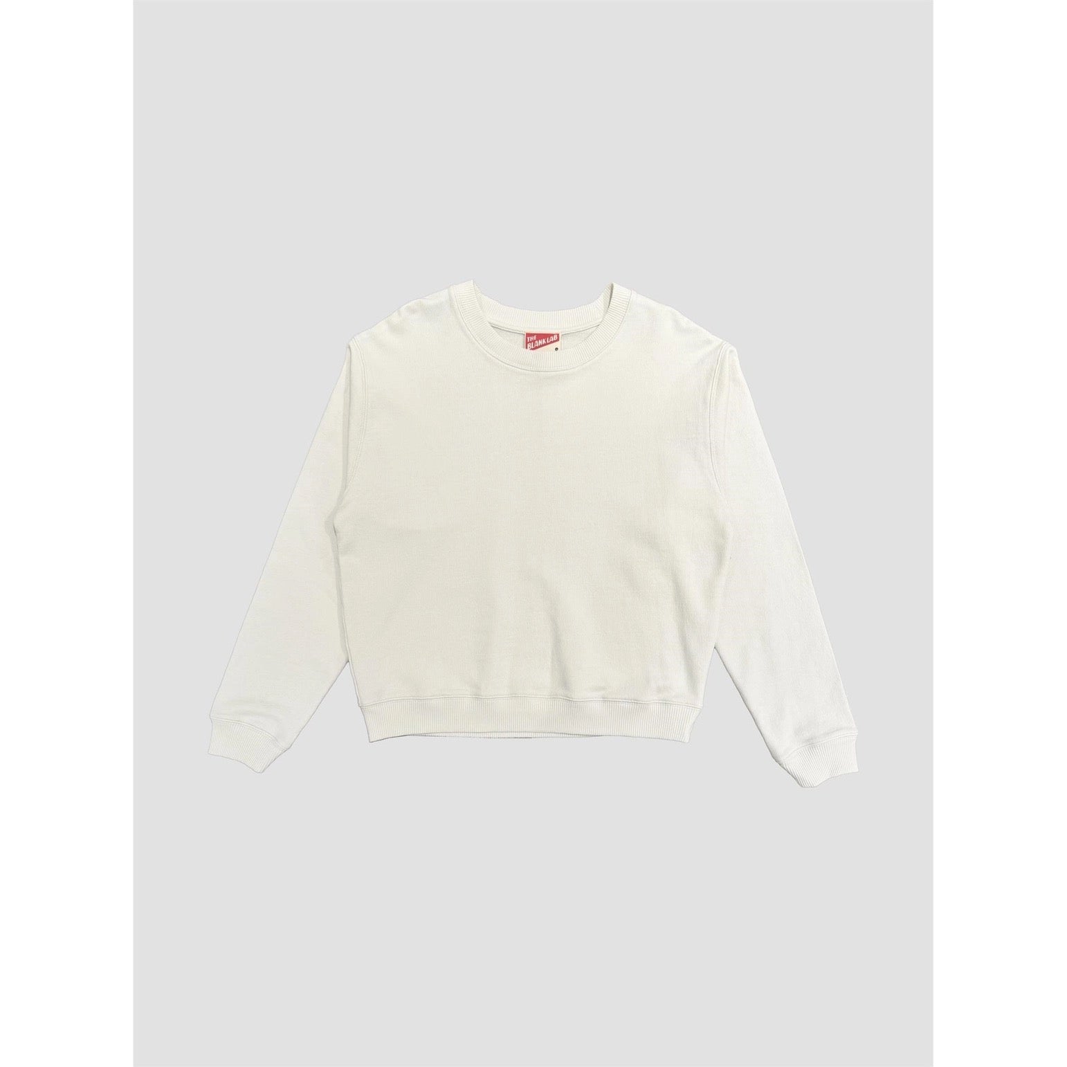 Standard Fit Sweatshirt AAB105