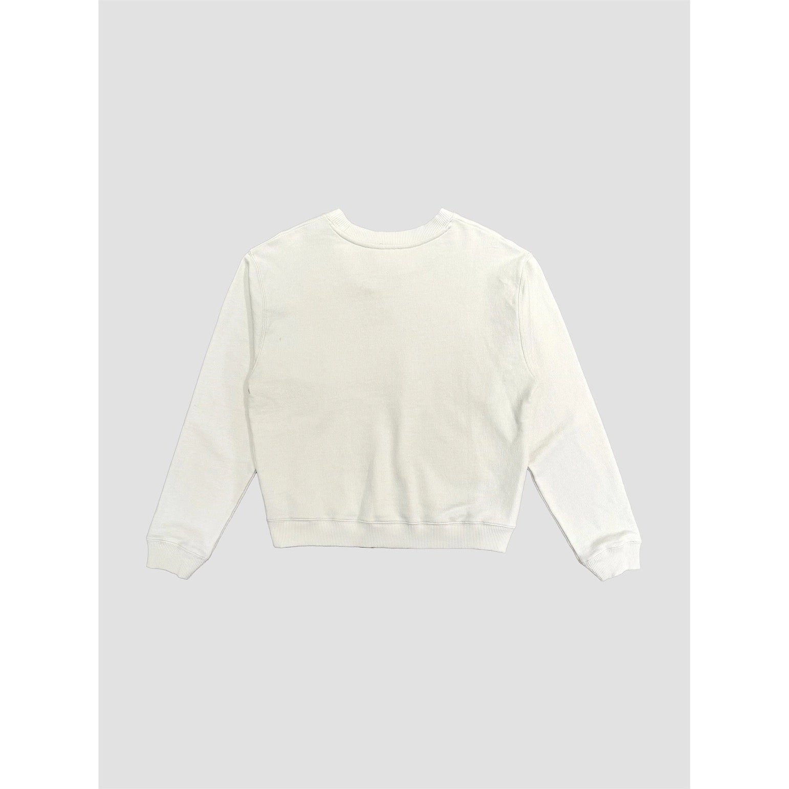 Standard Fit Sweatshirt AAB105