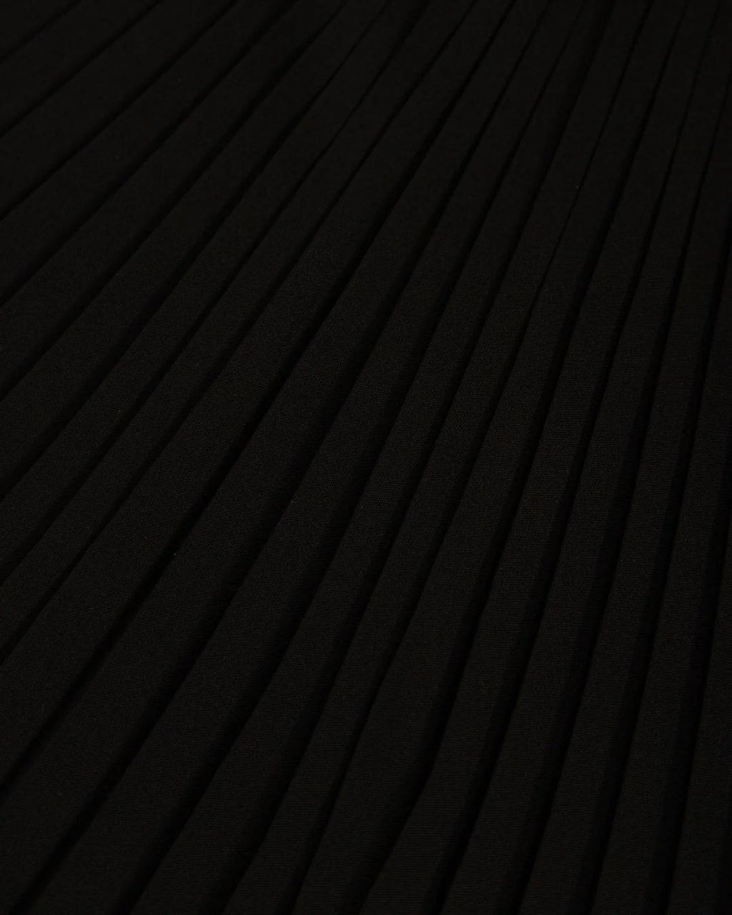 Knee Length Pleated Skirt