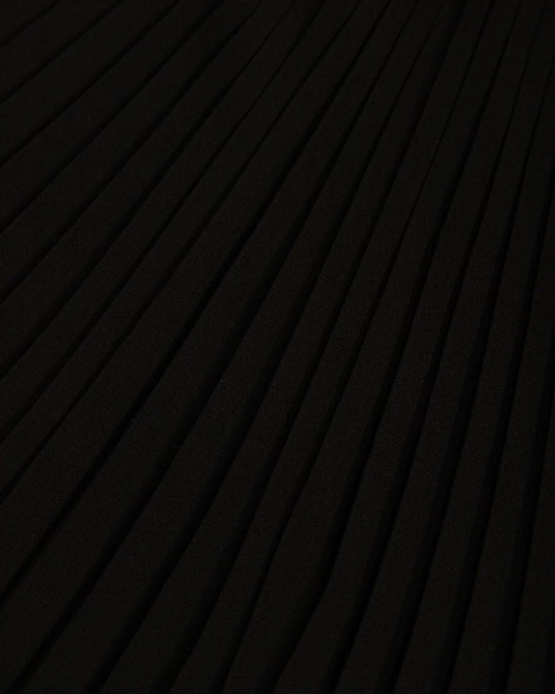 Knee Length Pleated Skirt