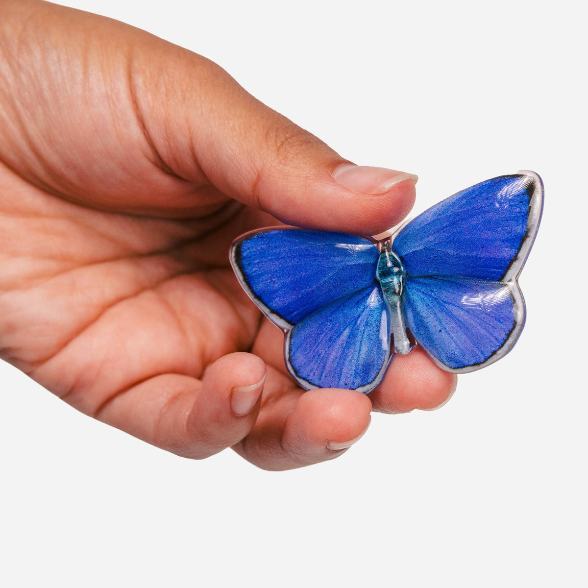 Allie Butterfly Clips - Light Catchers