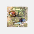 Allie Snail Clips - Slowpokes