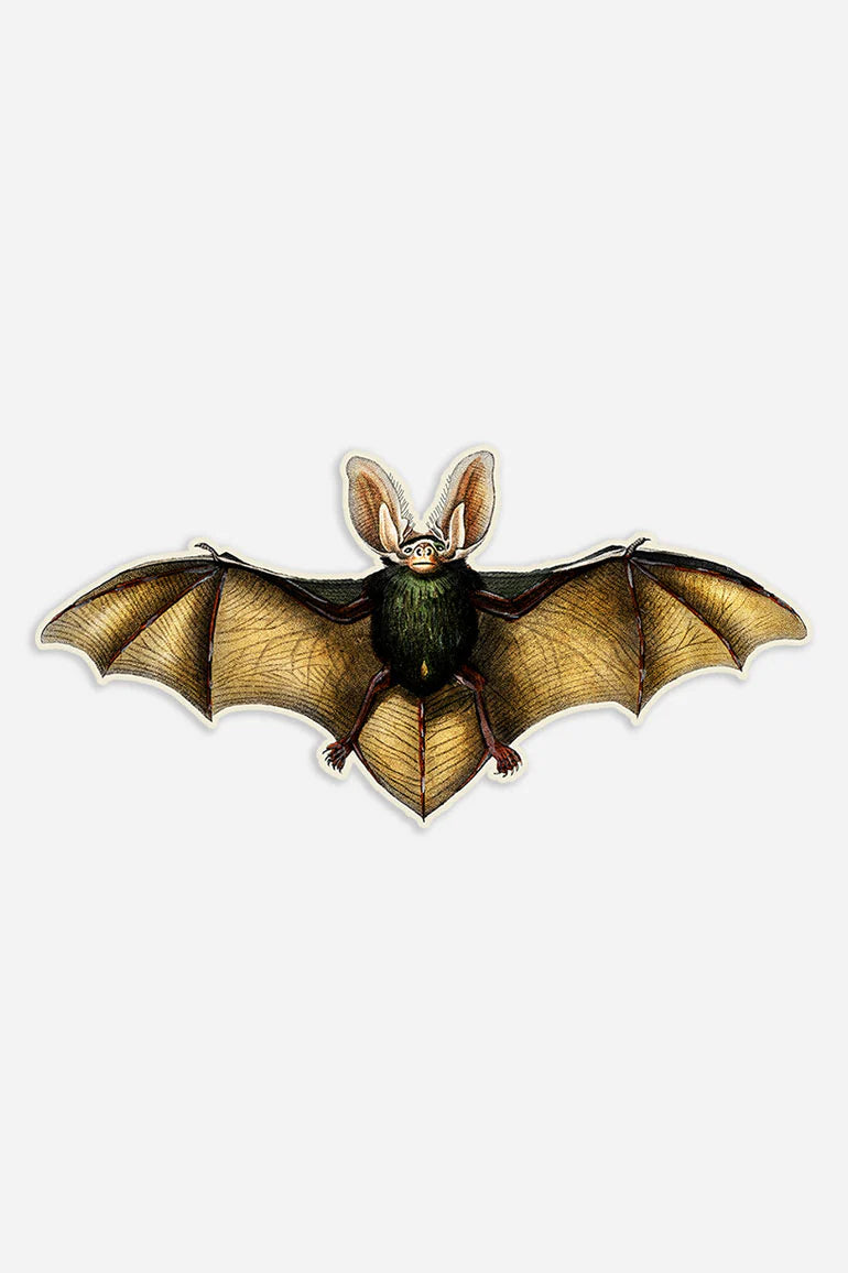 Blasé Bat Gap Filler Sticker