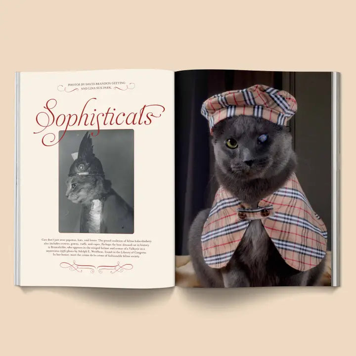 Catnip Magazine: Volume 1