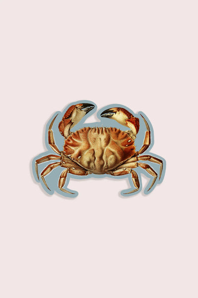 Cheeky Crab Gap Filler Sticker