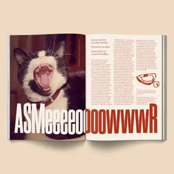 Catnip Magazine: Volume 1