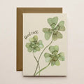 Four Leaf Clover Card