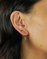 Western Earrings - Set of 4