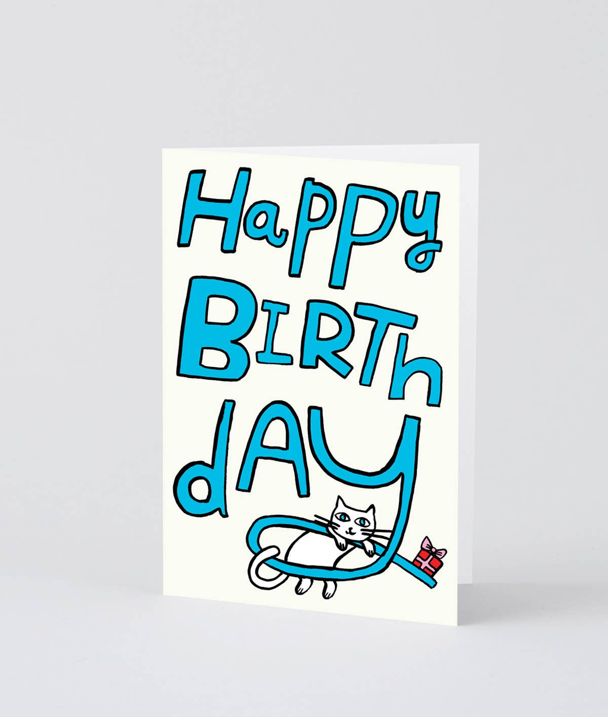 Happy Birthday Cat & Present Greeting Card