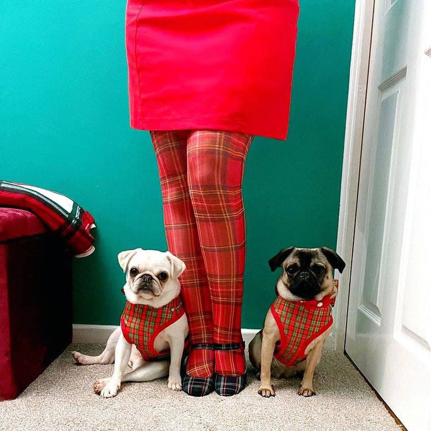 Red Tartan Printed Over the Knee Socks