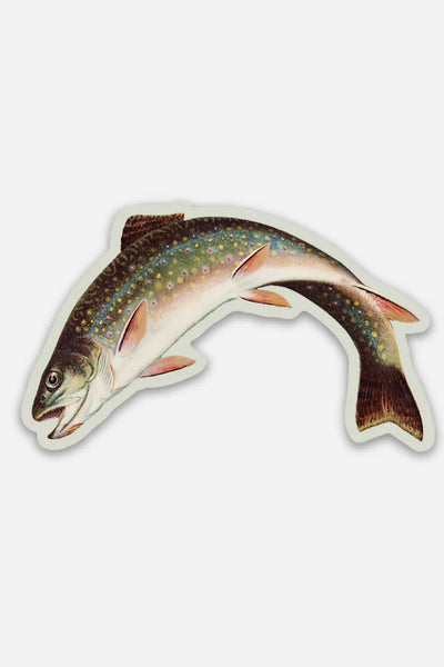 Scandalized Rainbow Trout Gap Filler Sticker