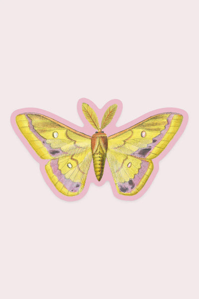 Splendid Moth Gap Filler Sticker