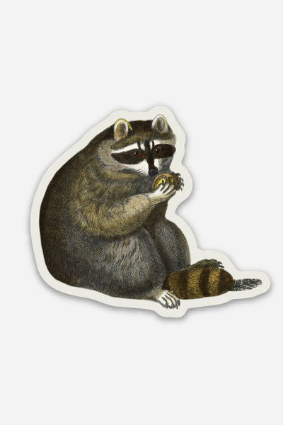 Unbothered Racoon Gap Filler Sticker