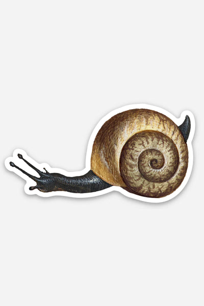 Apathetic Snail Gap Filler Sticker