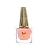 Mini Nail Laquer