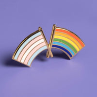 Trans & LGBTQ+ Pride Flag Combo Pin