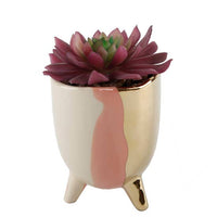 Gold Accent Succulent Planter