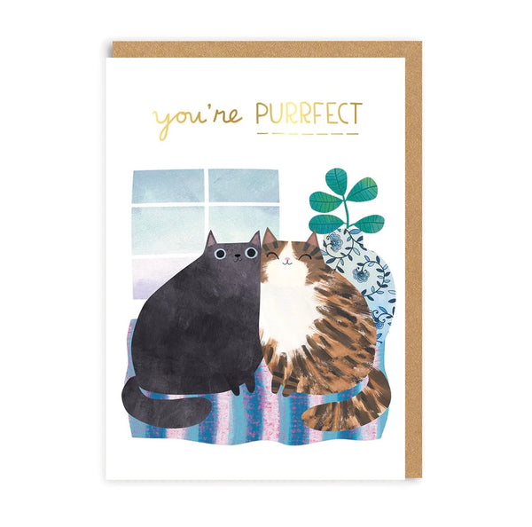 You're Purrfect Greeting Card