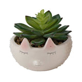 Pink Spiky Hedgehog Succulent Planter
