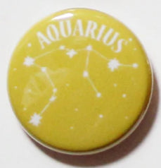 Colourful Zodiac Button Pin