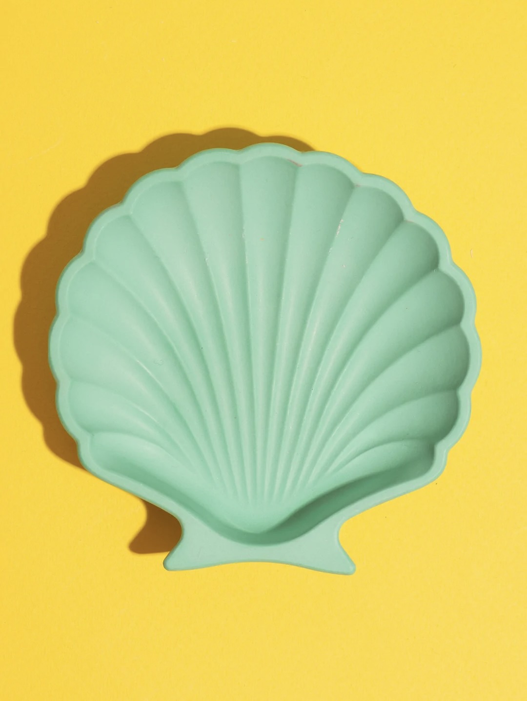 Shell Dish
