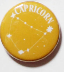 Colourful Zodiac Button Pin