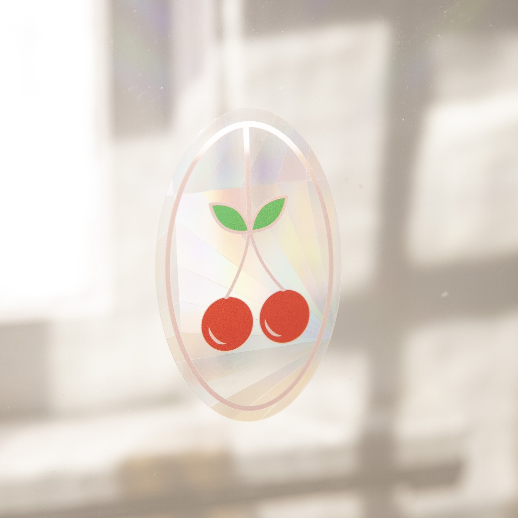 Fruit Sun Catcher Sticker