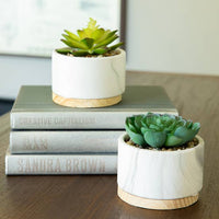 Marble + Wood Succulent Planter