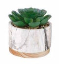 Marble + Wood Succulent Planter