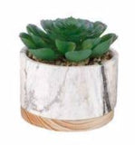 Marble + Wood Succulent Planter