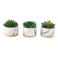 Marble + Wood Succulent Planter